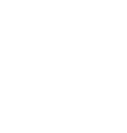 Strawberry Music Festival